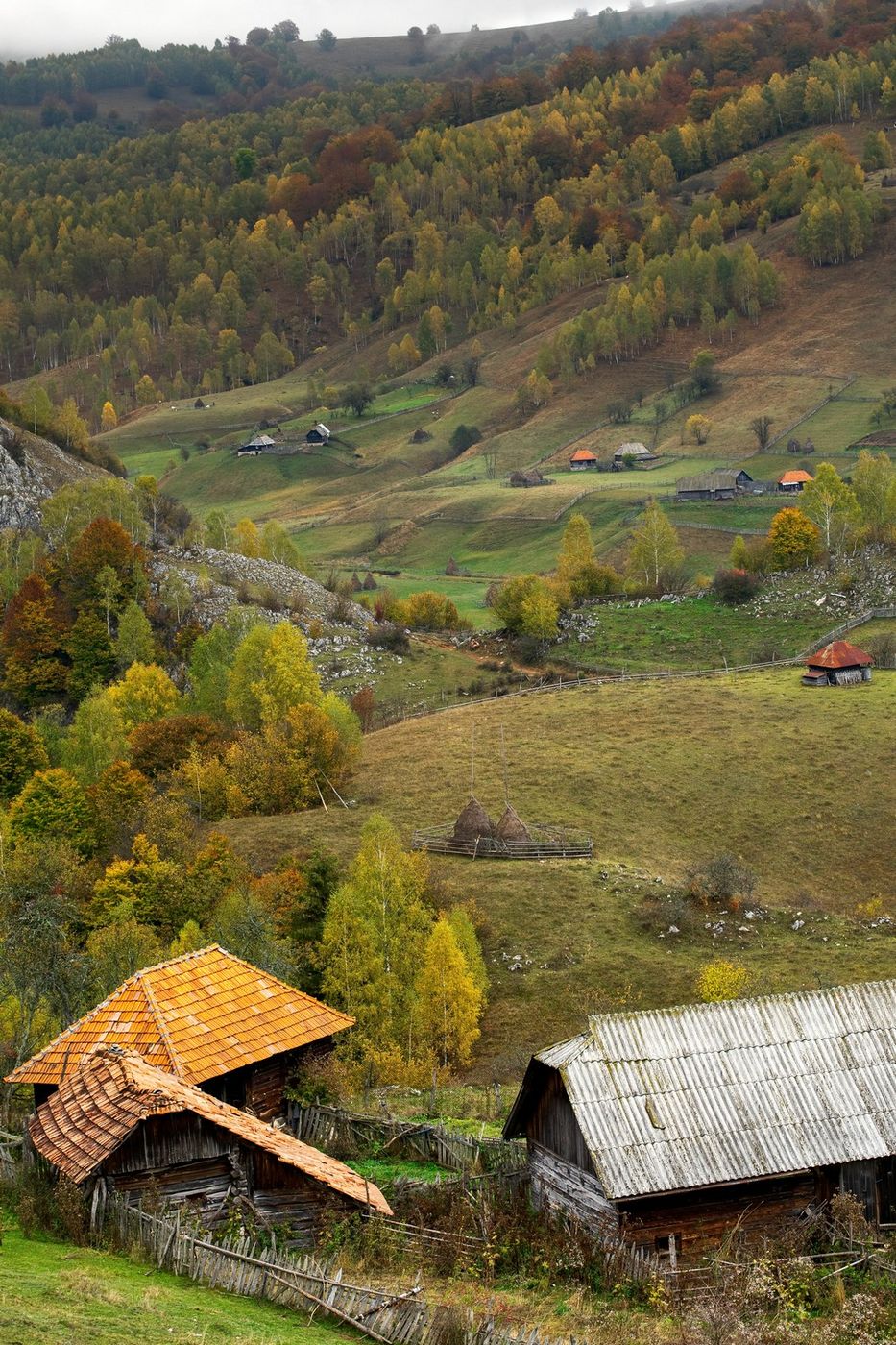 Fundătura Ponorului, Romania