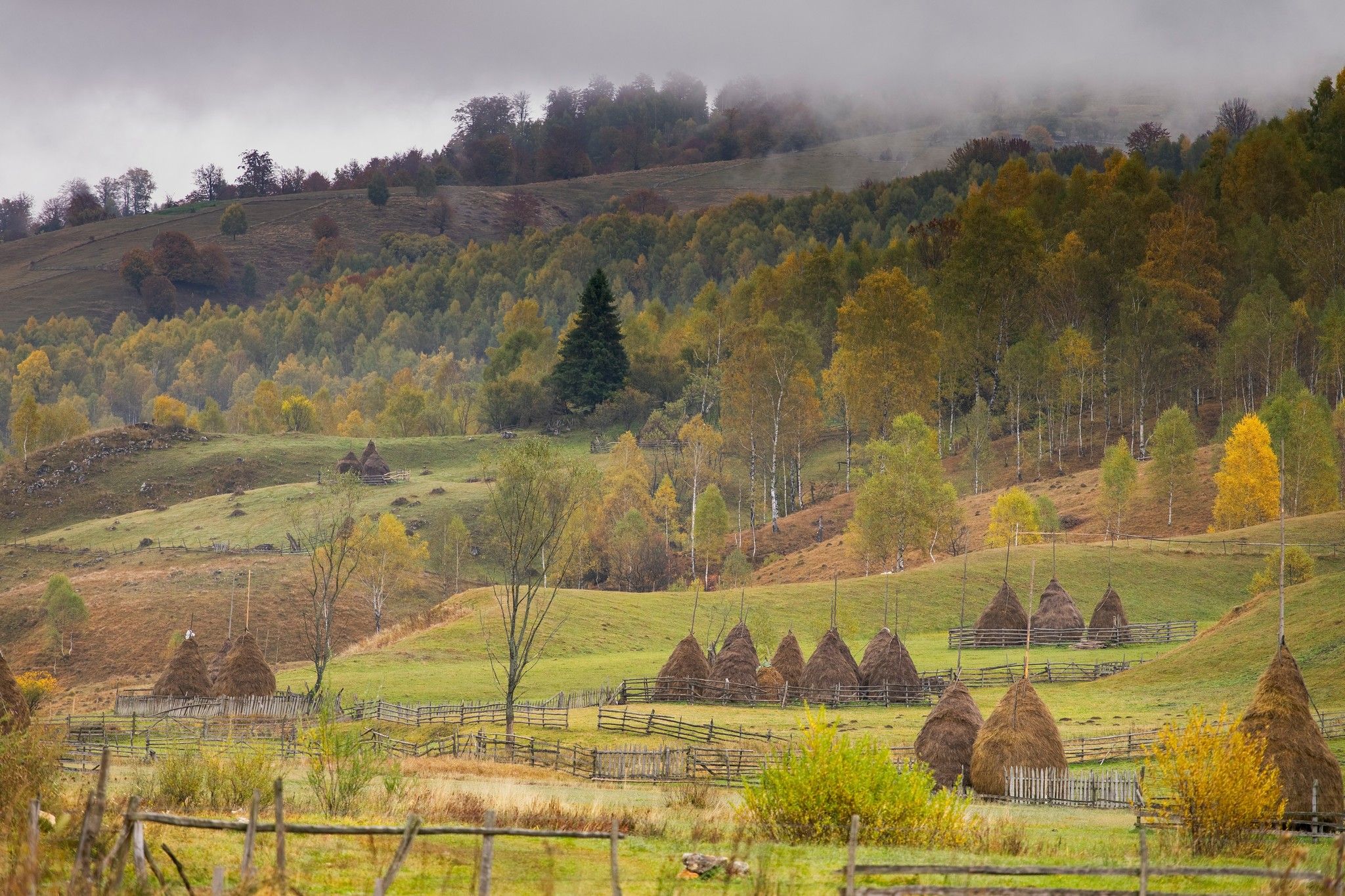 Fundătura Ponorului, Romania