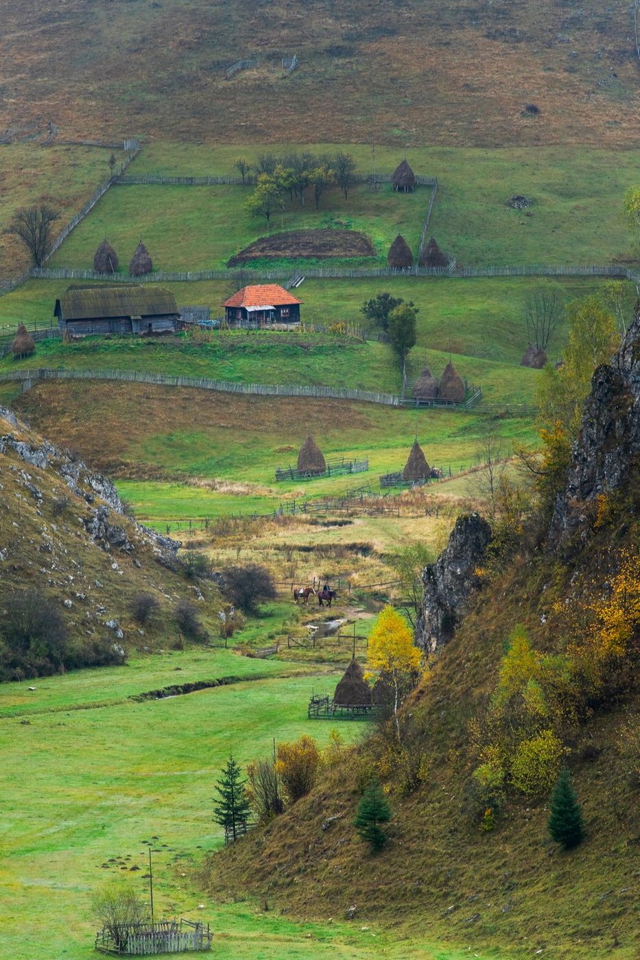 Fundătura Ponorului, Romania