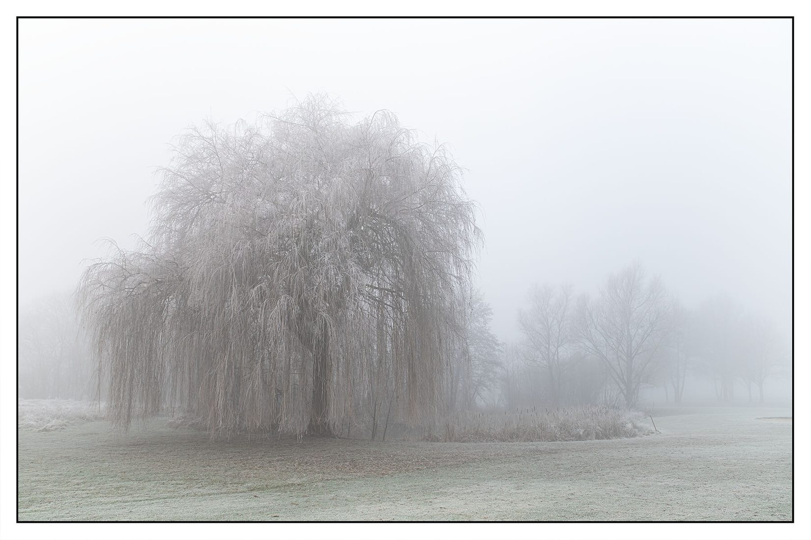 Golfplatz Wagenfeld, Germany