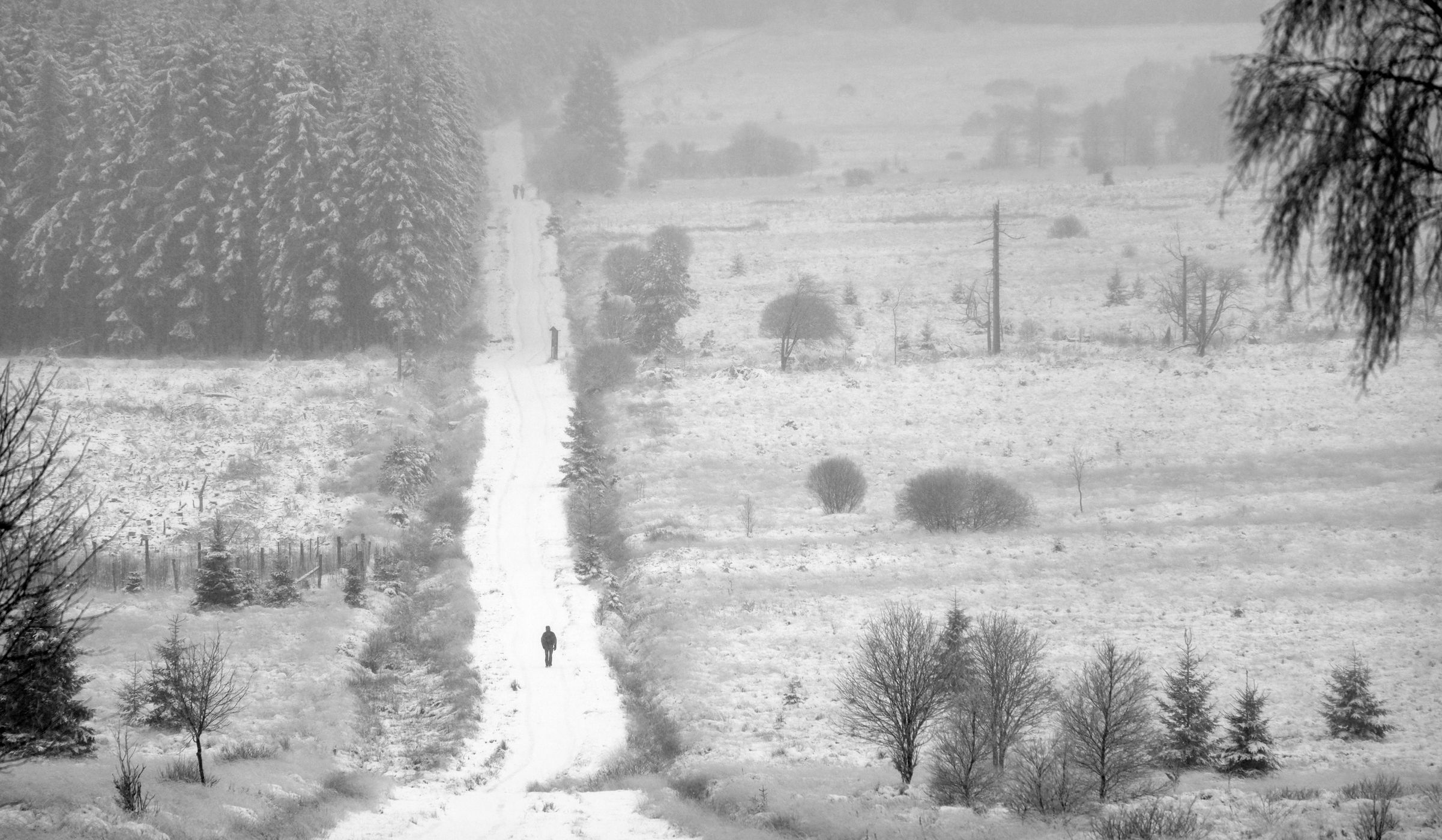 Hoche Fagnes, Belgium