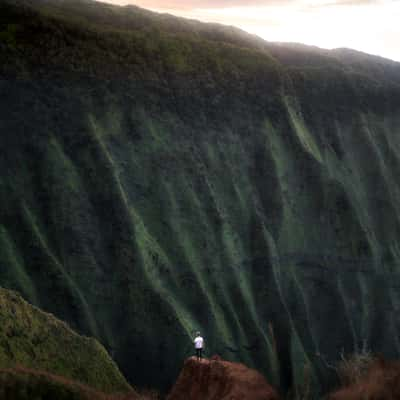 Kalepa Ridge Trail, USA