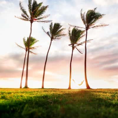 Kapaa Beach Park, USA