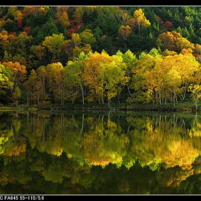 Kido-ike Pond, Japan