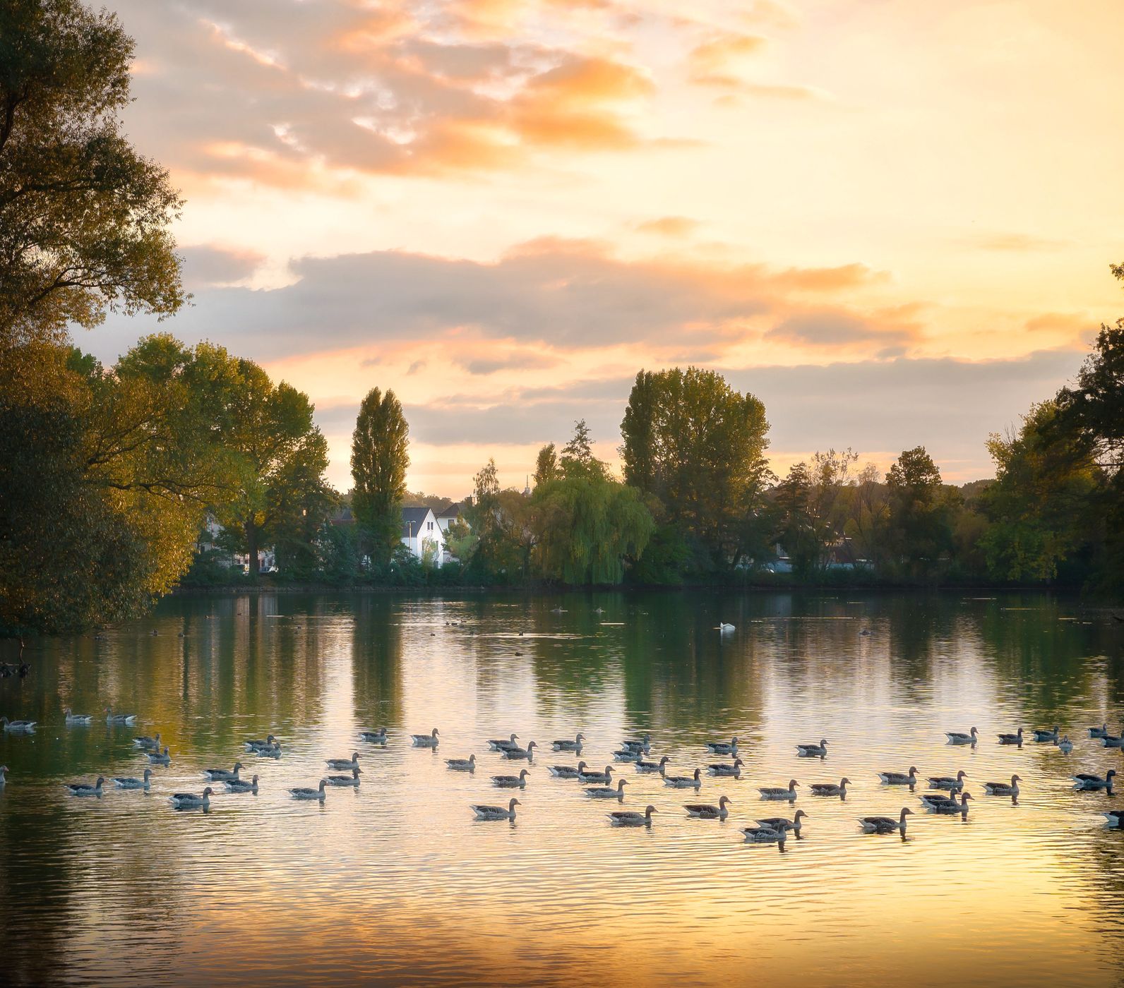 Kreuzteich, Germany
