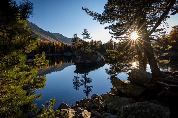 Golden season at Lago di Saoseo