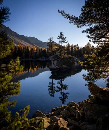 Golden season at Lago di Saoseo