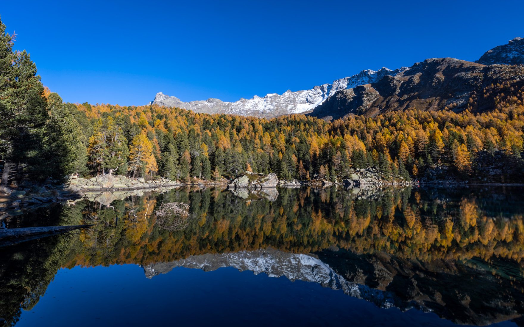 Golden season at Lago di Saoseo, Switzerland