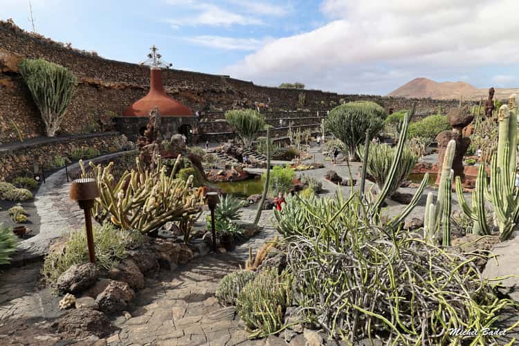 Jardín de Cactus, Lanzarote