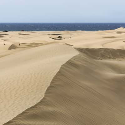 Las Dunas of Maspalomas (Gran Canaria), Spain