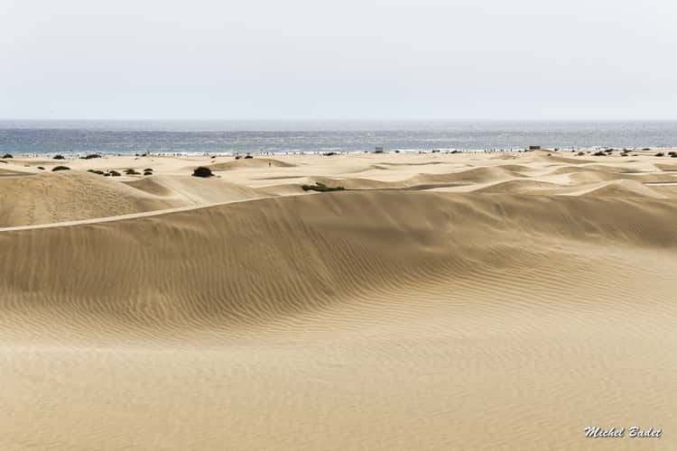 Las Dunas of Maspalomas (Gran Canaria)