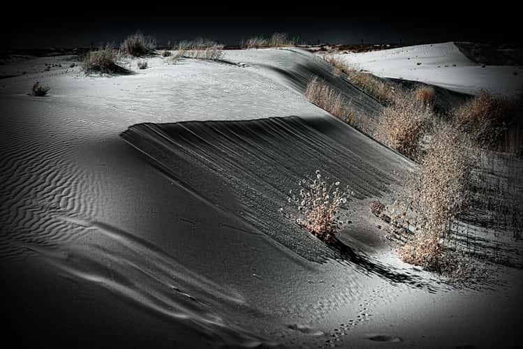 Monahans Sandhills State Park, Texas