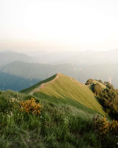 Monte Boglia