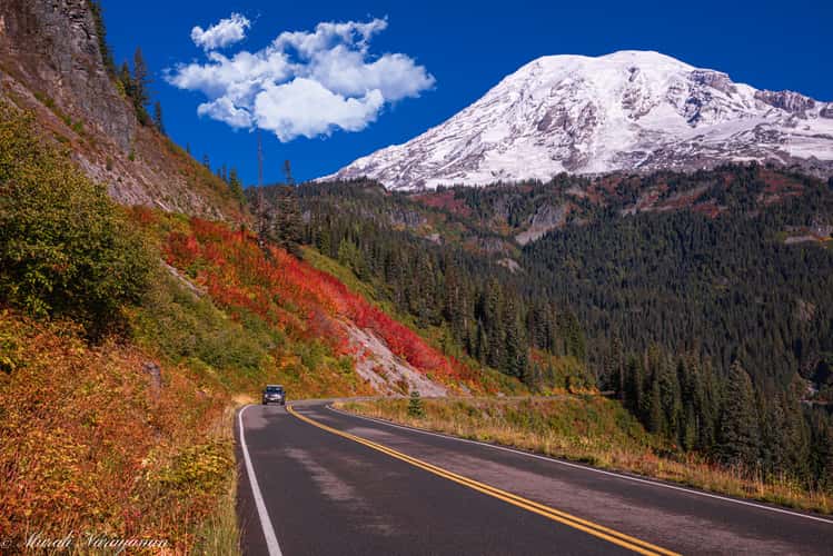 Mt. Rainier Fall Colors