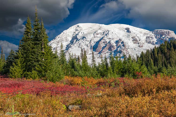 Mt. Rainier from behind the Visitor Center @ Paradise