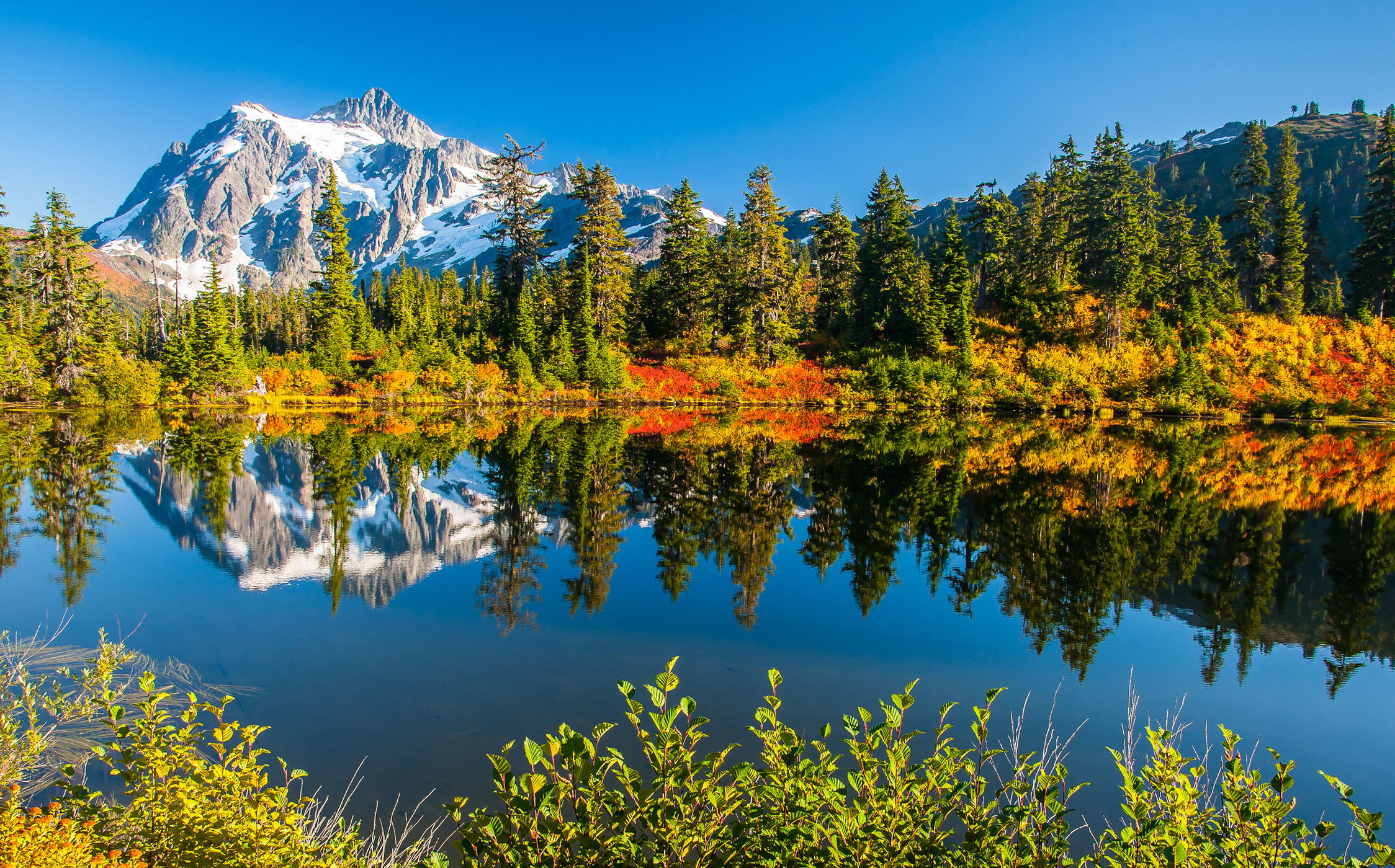 Mt. Shuksan reflection, USA