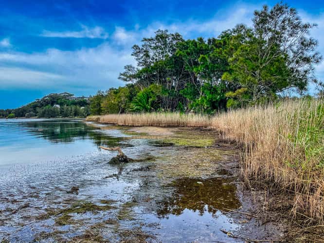 Narrabeen Lagoon west side, Northern Beaches, Sydney