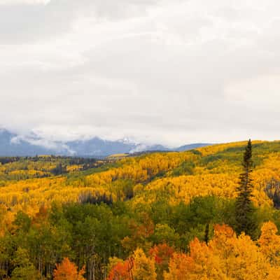 Ohio Pass, Colorado, USA