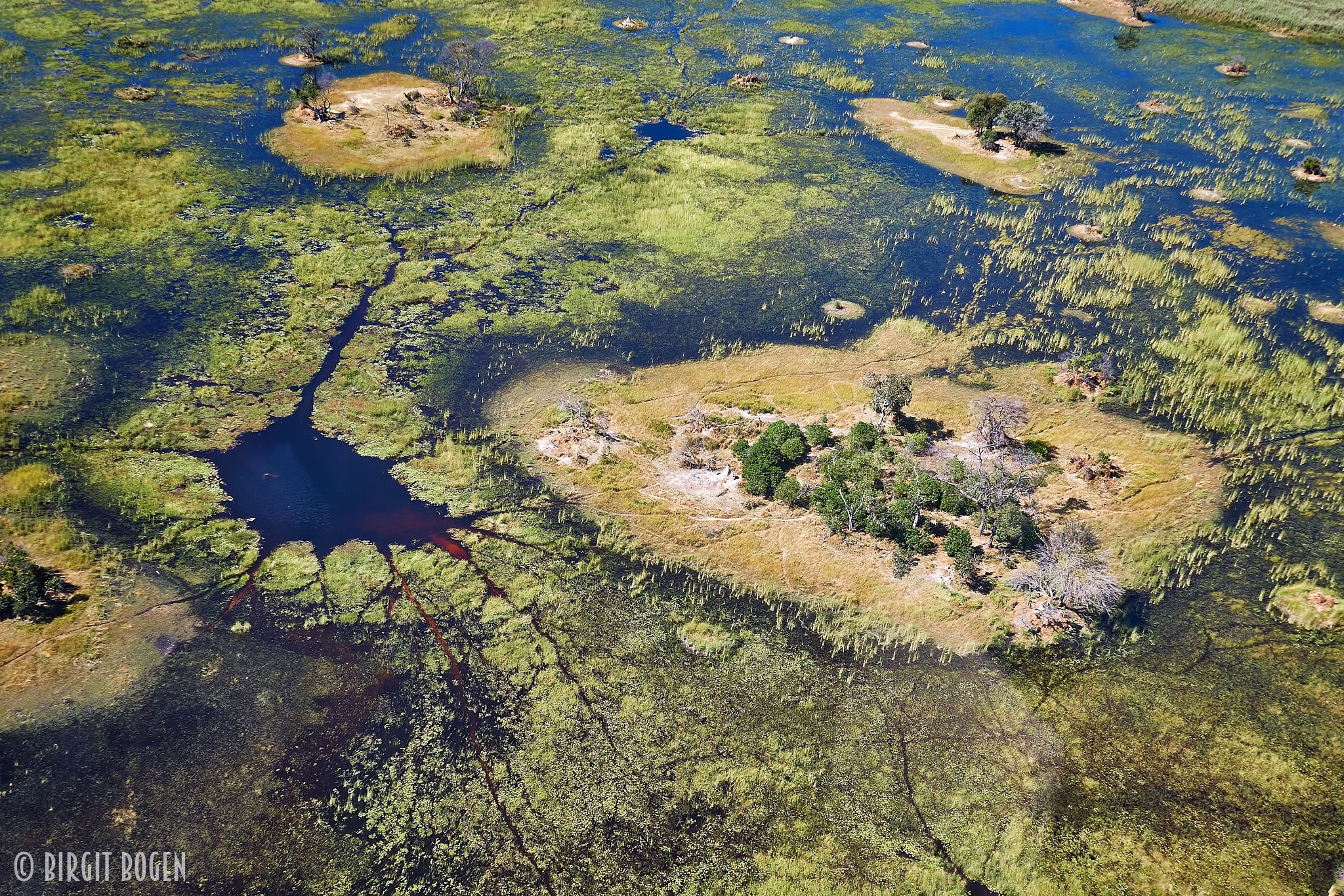 Okavango Delta from above, Botswana