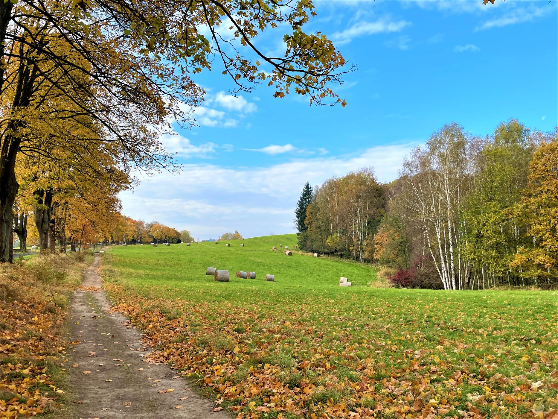 Open fields, Czech Republic