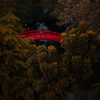 Red Bridge at Sultan Hotel, Indonesia