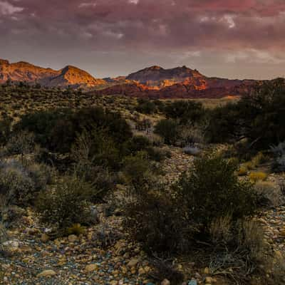 Red Rock Canyon, USA