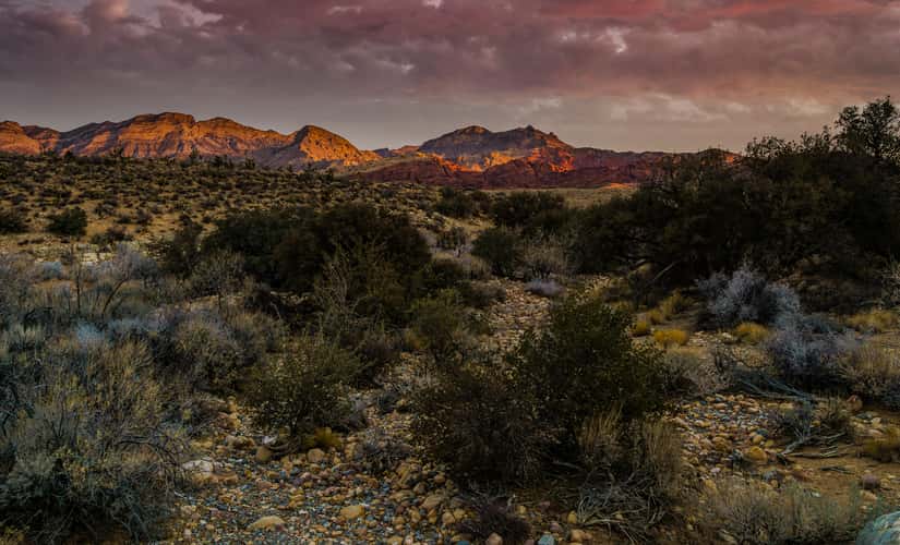 Red Rock Canyon