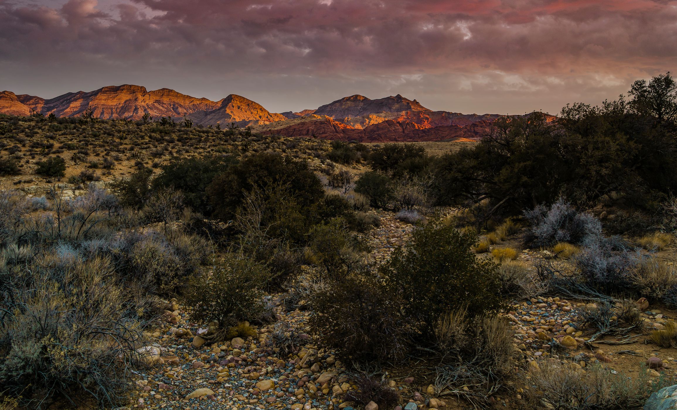 Red Rock Canyon, USA