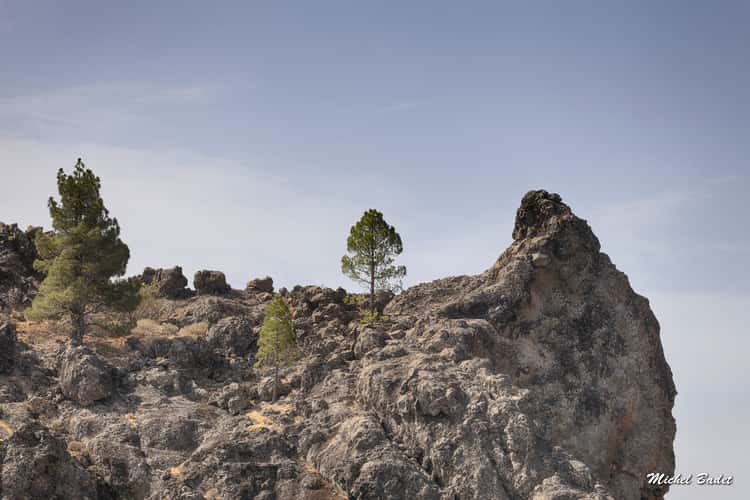 Roque Nublo
