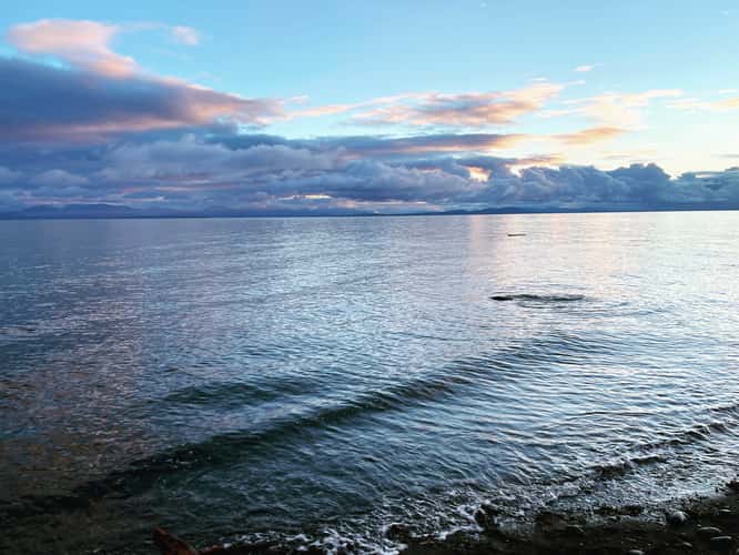 Seal Bay Nature Park, Comox
