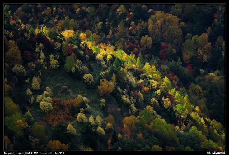 Shiga Highland
