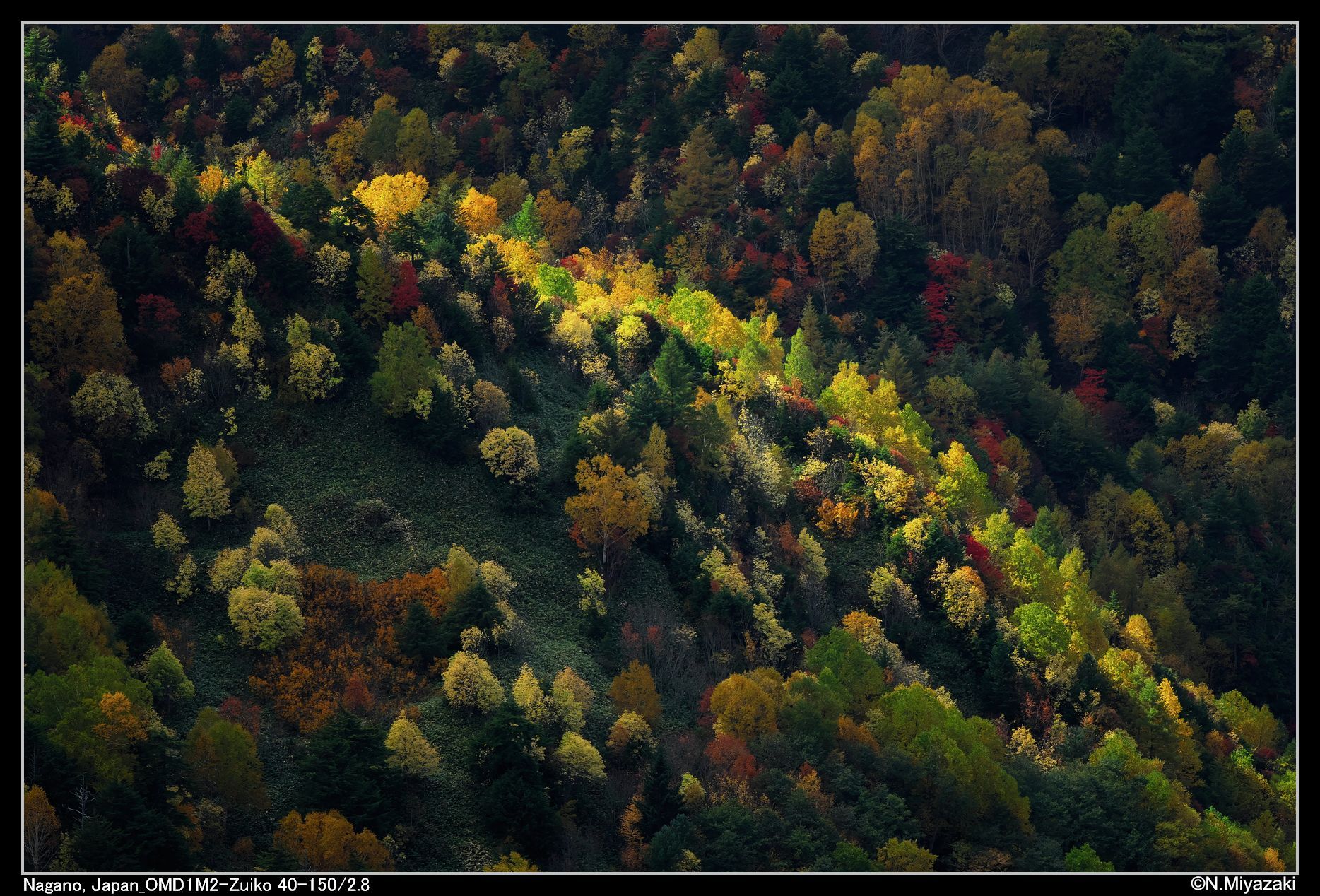 Shiga Highland, Japan
