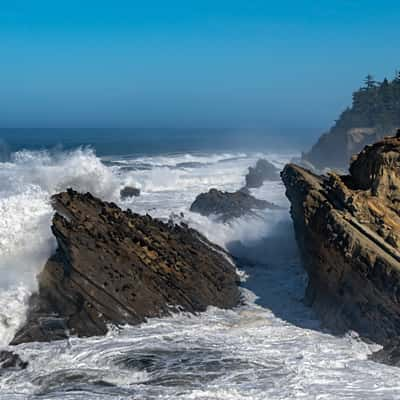 Shore Acres State Park, USA