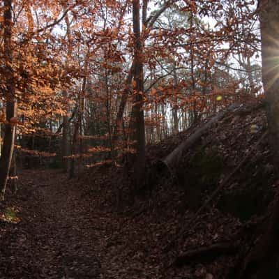 Sunken Trace, USA