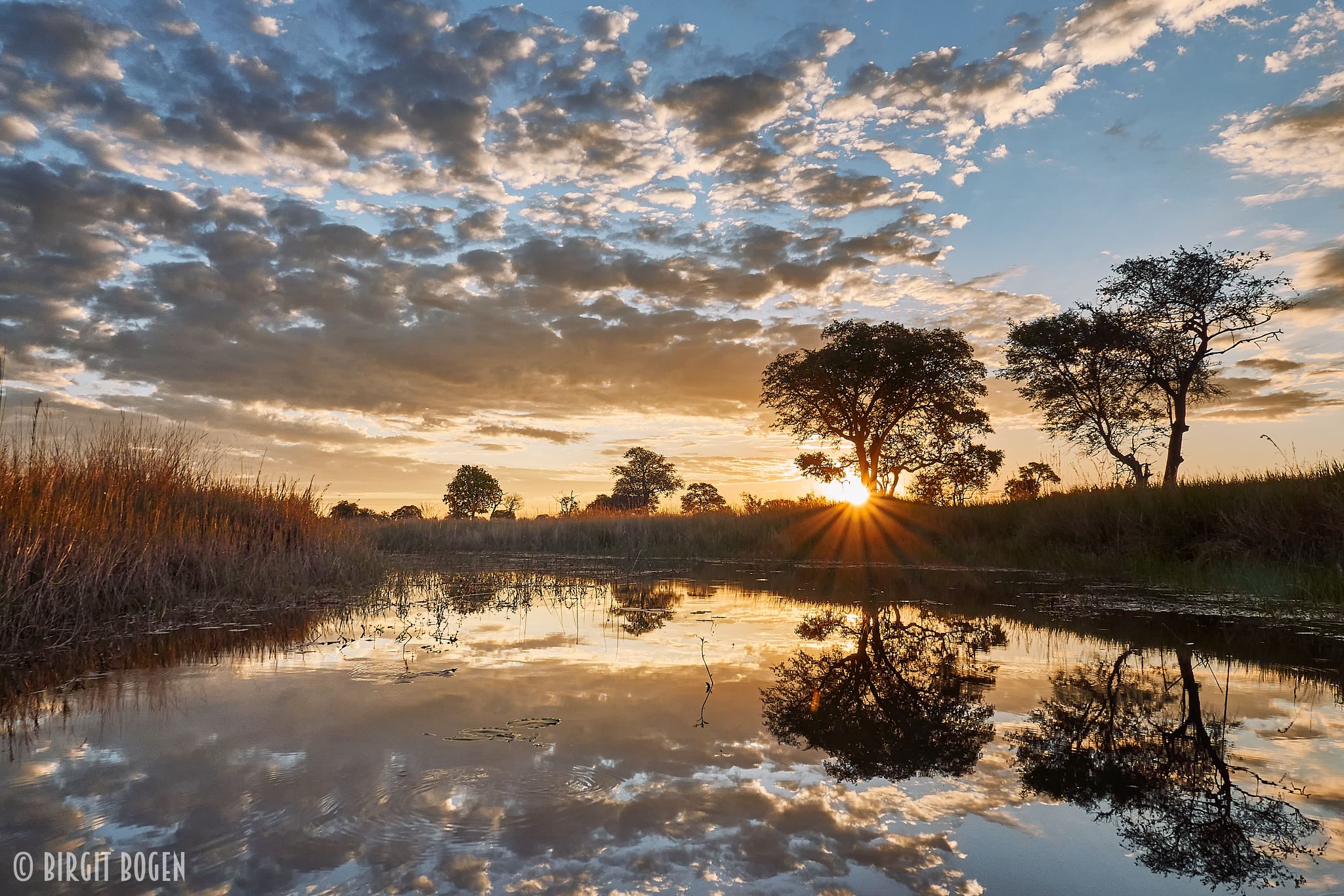 Sunset at Caprivi near Nkasa Lupala Lodge, Namibia, Namibia