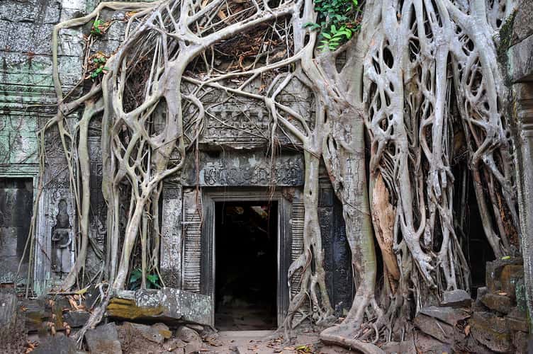 Ta Prohm
