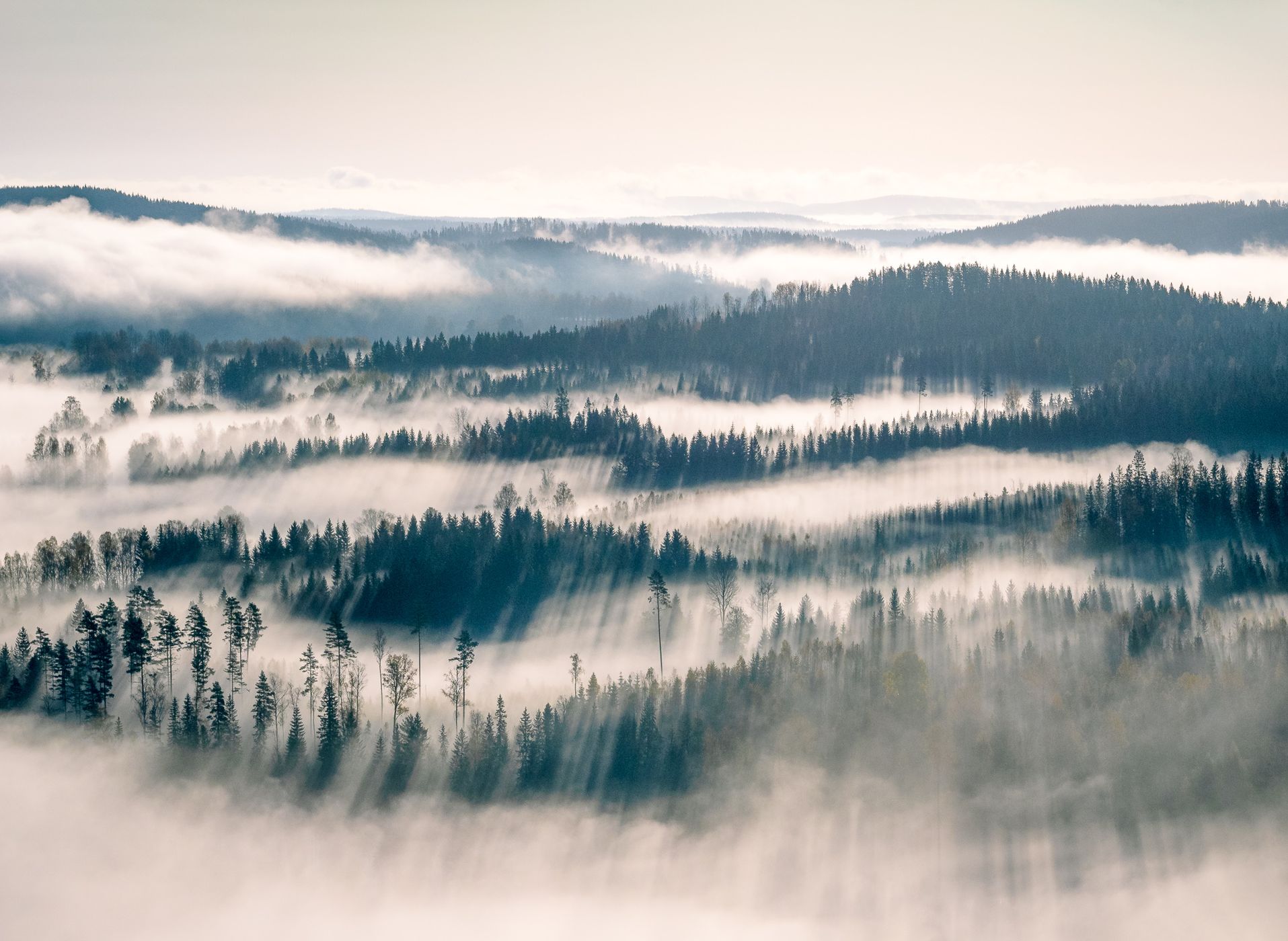 View over Mangen lake, Gylterud, Sweden