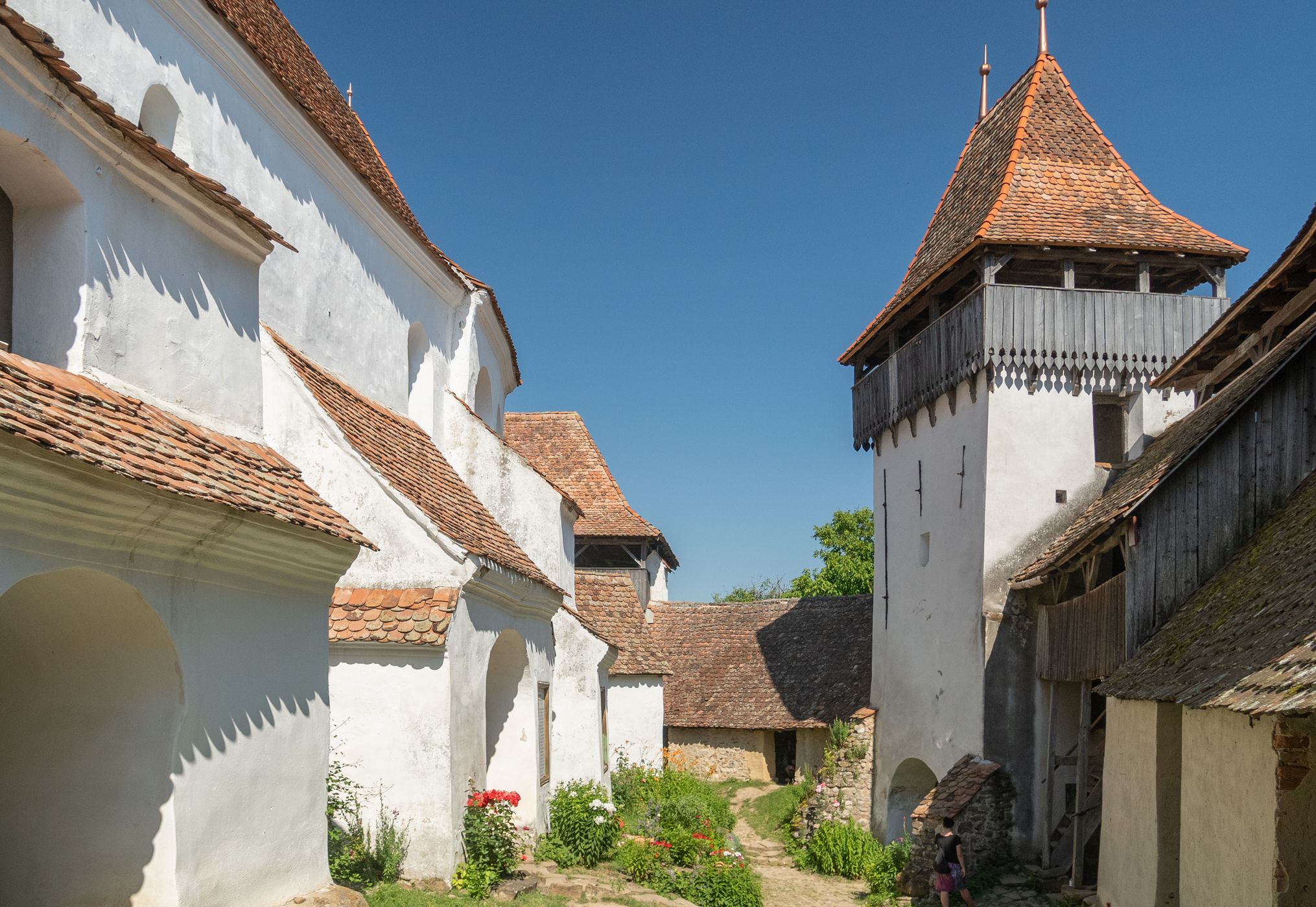 Viscri fortified church, Romania
