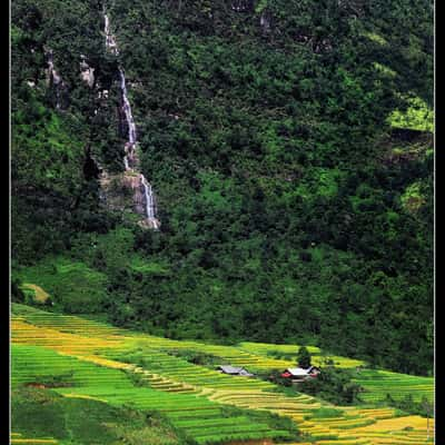 Y ty rice terraced, Vietnam