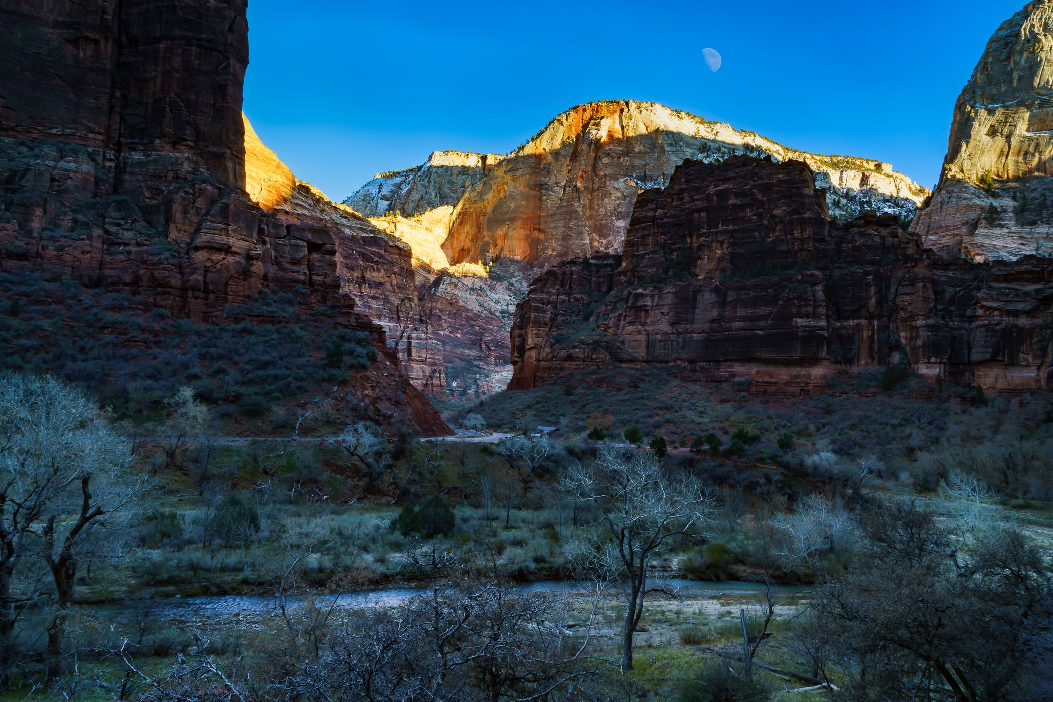Zion National Park, USA