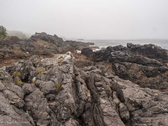 Amphitrite Point Lighthouse, Vancouver Island