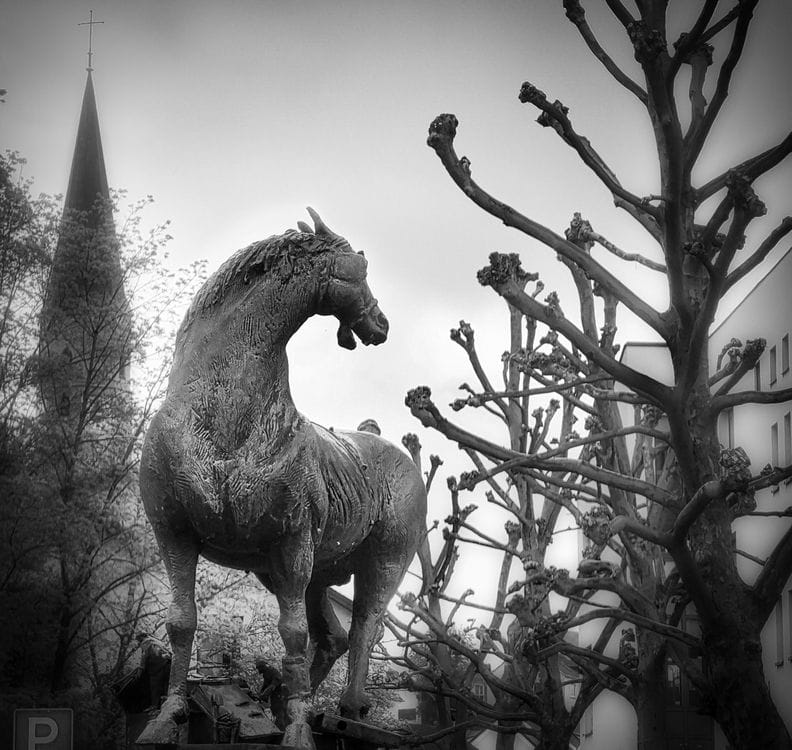 Amtsschimmel, Dingolfing, Germany