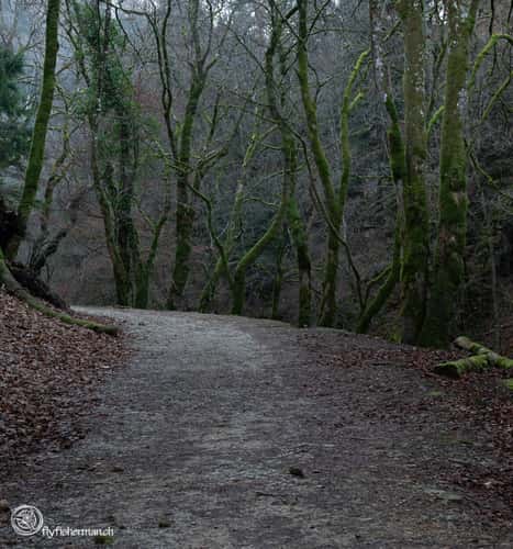Areuse (from Noiraigue to Boudry)