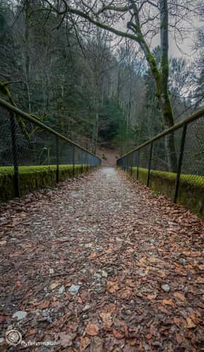 Areuse (from Noiraigue to Boudry)