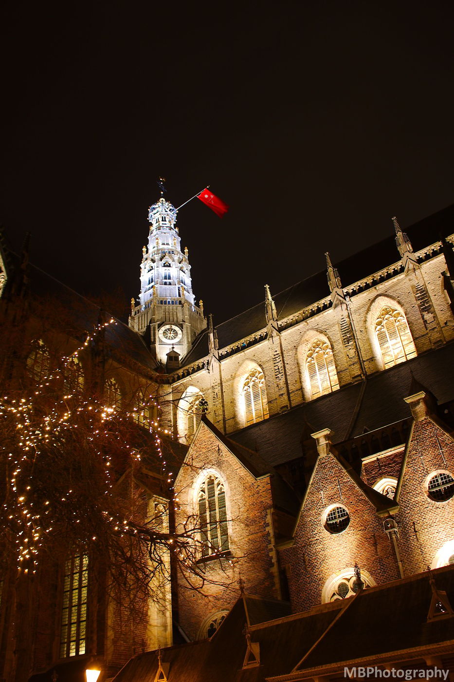 Bavo Church, Netherlands