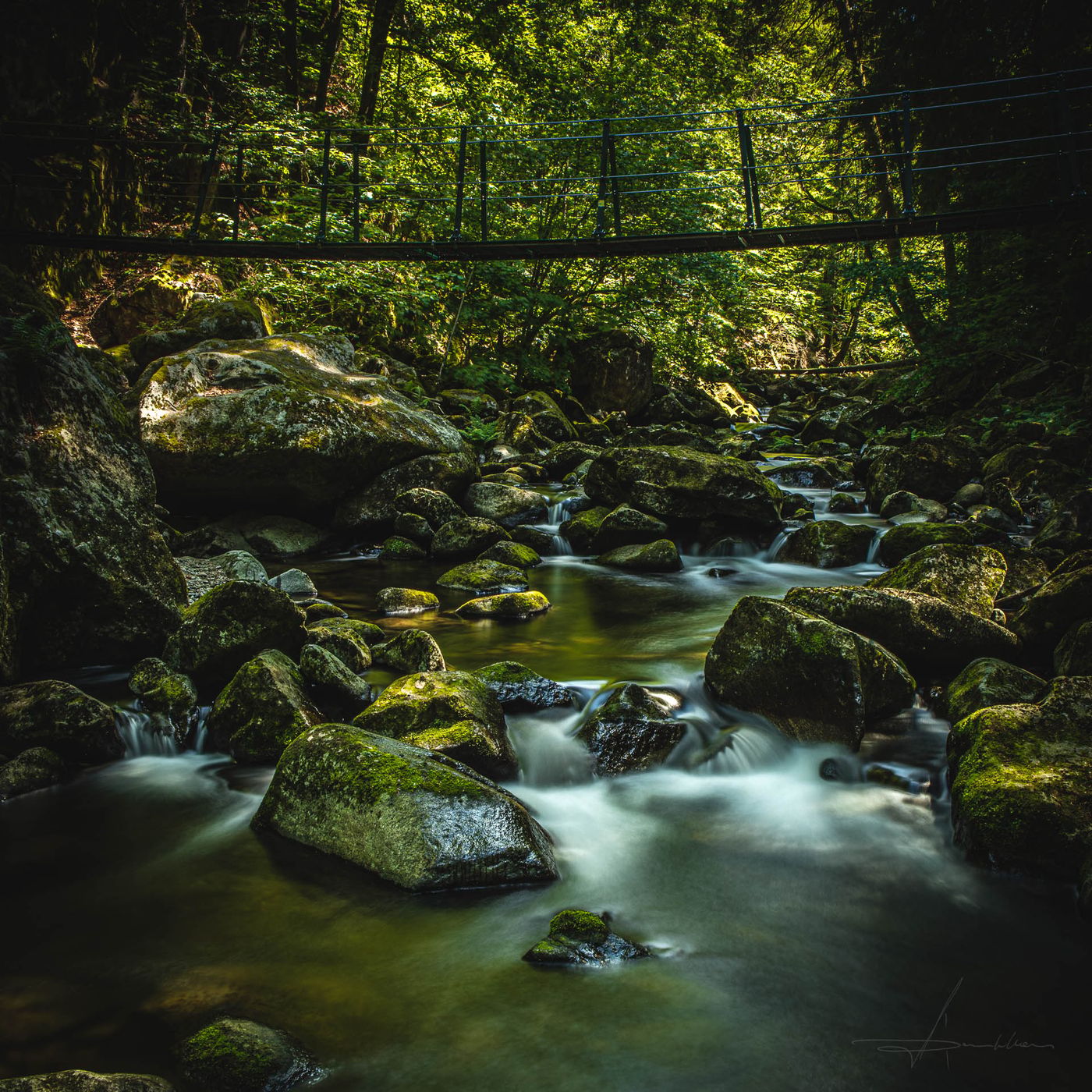Buchberger Leite - Wildbachklamm, Germany