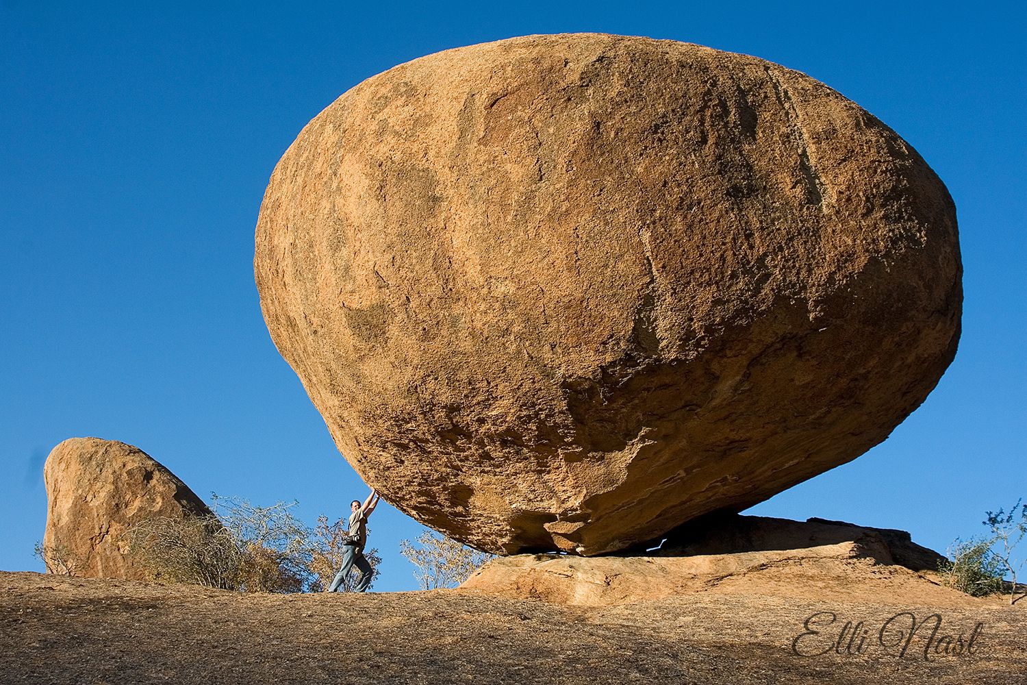 Bulls Party, Namibia