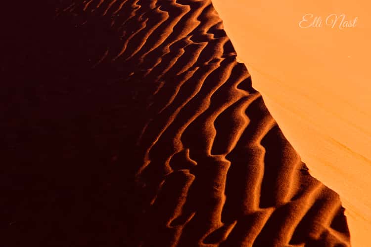 Dune 45