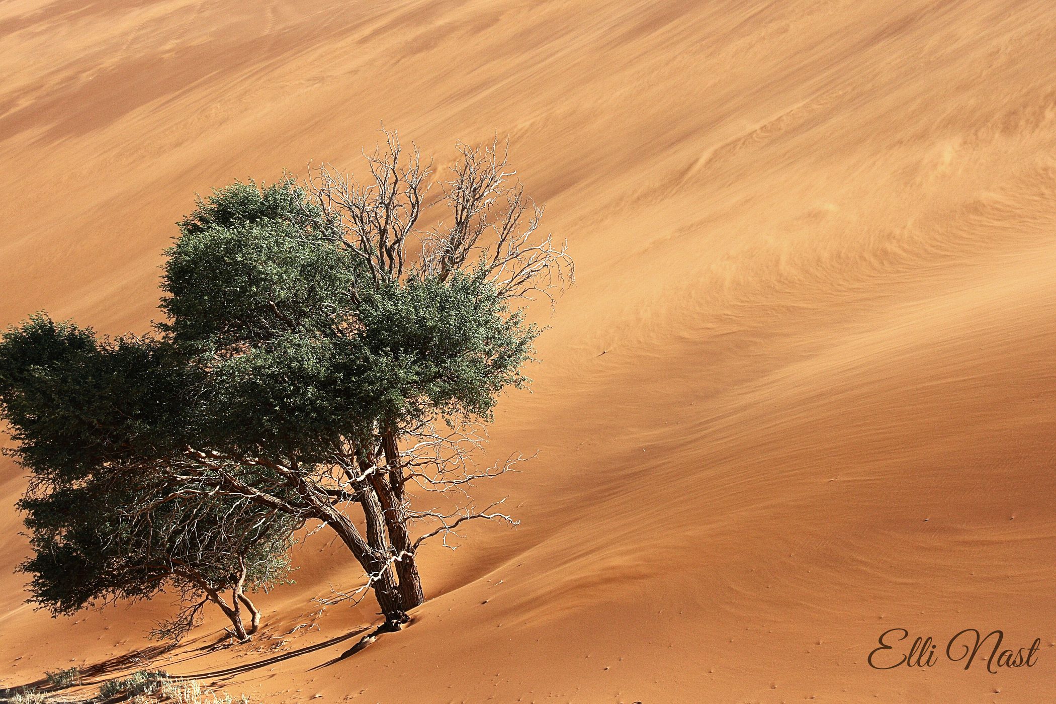 Dune 45, Namibia
