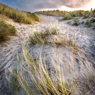 Dunes St. Peter Ording Beach, Germany